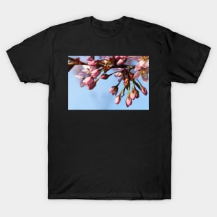 Cherry Tree Buds T-Shirt